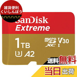 �y���������zSanDisk MicroSDXC UHS-I Card 1TB Extreme Ultra High Speed Type (Read Up to 190MB/s / Write Up to 130MB/s) SanDisk Extreme SDSQXAV-1T00-GN6MN