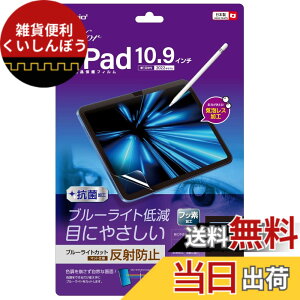 �y���������ziPad 11�C���` ��11���� 2025 / iPad 10.9�C���` ��10���� 2022 �p �t���ی�t�B���� ���˖h�~ �u���[���C�g�J�b�g �C�A���X���H Z0496