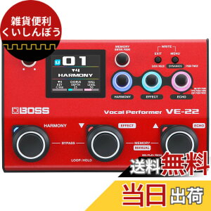 �y���������zBOSS �{�X VE-22 Vocal Performer �{�[�J���G�t�F�N�^�[