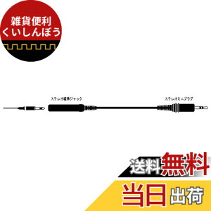 �y���������zJVC�P���E�b�h �r�N�^�[ �X�e���I�W���W���b�N�[�X�e���I�~�j�v���O 0.3M CN-233A