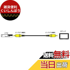 �y���������zJVC�P���E�b�h �r�N�^�[ �s���v���OX1-�s���v���OX1 3M VX-31G