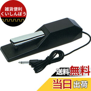 �y���������zKORG �_���p�[�y�_�� �d�q�s�A�m�p DS-1H �n�[�t�y�_���Ή�