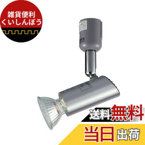 �y���������zELPA ���C�e�B���O�o�[�p�X�|�b�g���C�g �n���Q���� 50W�^ E11 �V���o�[ LRS-GH40B(SL)