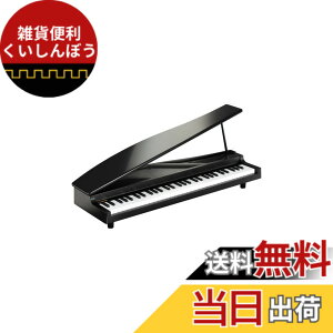 �y���������zKORG MICROPIANO �}�C�N���s�A�m �~�j����61�� �u���b�N 61�Ȃ̃f���\���O���� �������t�\