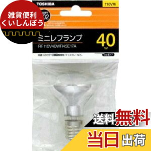 �y���������z���� �~�j���t�����v 40W RF110V40WR45E17A