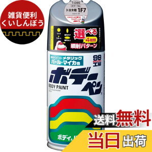 �y���������z�\�t�g99(SOFT99) 99�H�[ ��C�y�C���g �{�f�[�y�� T�[095 300ml TOYOTA(�g���^)/LEXUS(���N�T�X) 1F7 �V���o�[M �����ԃ{�f�B�A�o���p�[�A�����A�؍� 08095
