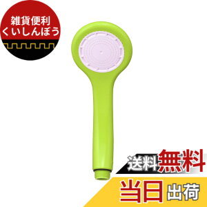 �y���������zSANEI(�T���G�C) �ߐ��V�����[�w�b�h �V�����W? �ᐅ���V�����[�t�� �X�P���g���C�G���[�O���[�� PS3963-80XA-CYG6