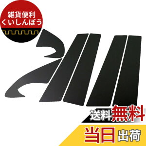 �y���������zBRIGHTZ �f���A���X J10 �����ʃu���b�N���b�L�s���[�p�l���J�o�[ 6PC �o�C�U�[�����p �y PIL-BLA-249 �z 5107