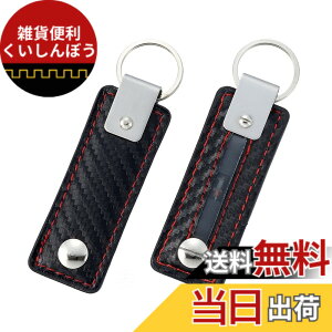 �y���������z�����Y�� EXEA �ԓ��p�i ���U�[�A�[�X�L�[�z���_�[ EF-60 �J�[�{��