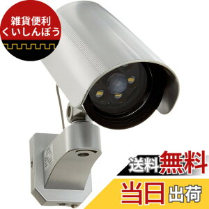 �y���������zDAISHIN(��i) outdoor �J�����Ɍ�����Z���T�[���C�g DLB-K500 LED���F