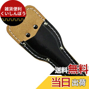 �y���������z�ߗ^(KONYO) Forza ������P�[�X ���^ FZ-66