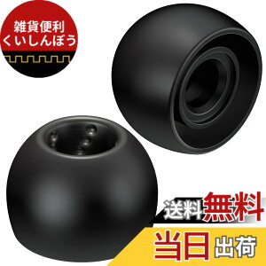 �y���������zJVC�P���E�b�h JVC EP-FX9ML-B �����p�C���[�s�[�X �X�p�C�����h�b�g 6���� ML�T�C�Y �u���b�N