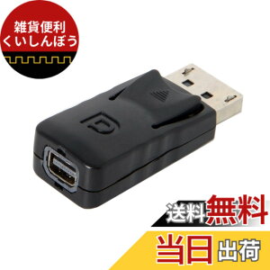 �y���������zchenyang �W��DisplayPort�I�X-Mini DP DisplayPort���X�A�_�v�^�[ �f�B�X�v���C�p PC �m�[�g�p�\�R�� ���j�^�[�p