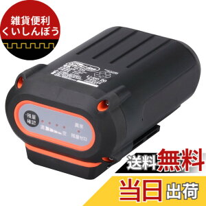 �y���������z�H�i(KOSHIN) �X�}�[�g�V���[�Y �o�b�e���[�p�b�N 36V 2.5Ah PA-334
