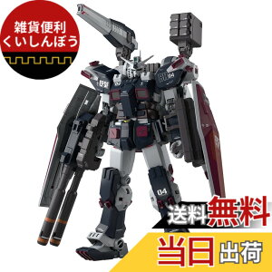 �y���������zMG �@����m�K���_�� �T���_�[�{���g �t���A�[�}�[�E�K���_�� Ver.Ka (GUNDAM THUNDERBOLT��) 1/100�X�P�[�� �F�����ς݃v�����f��