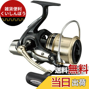 �y���������z�_�C��(DAIWA) �X�s�j���O���[��(�����E����) 17 WINDCAST 6000(2017���f��)