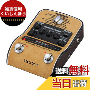 �y���������zZOOM �Y�[�� AC-2 �A�R�[�X�e�B�b�N�M�^�[�p�v���A���v �y�������K�i/3�N�����t�z �s�G�]/�}�O�l�Ή� 16��v���Z�b�g DI�@�\ XLR�o�� �d�r�쓮�Ή� �x�[�W�� AC�A�_�v�^�[�t�� AC�V��