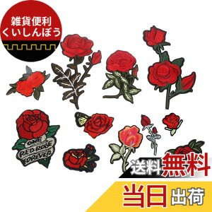 �y���������zDreld 11���� �o�� ���[�Y �A�b�v���P ���b�y�� �A�C�����ڒ� �p�b�` ���� ��|�p �h�J �H�|�i DIY �����p �ٖD �z �\��t��