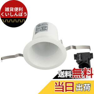 �y���������z�p�i�\�j�b�N(Panasonic) �_�E�����C�g LED ��100 �{�� �� �d���F NNN61512WK