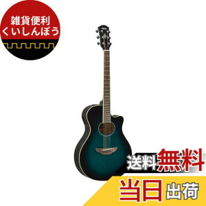 �y���������z���}�n YAMAHA �G���A�R�M�^�[ APX600 OBB �I���G���^���u���[�o�[�X�g(OBB)