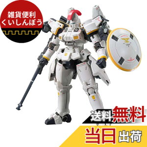 �y���������zRG �V�@����L�K���_��W Endless Waltz �g�[���M�X EW 1/144�X�P�[�� �F�����ς݃v�����f��