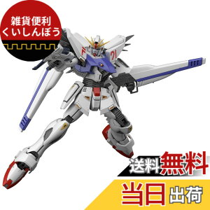 �y���������zMG �@����m�K���_��F91 �K���_��F91Ver.2.0 1/100�X�P�[�� �F�����ς݃v�����f��