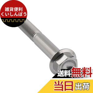 �y���������zDingtai �`�^���t�����W�{���gM10 x20 25 30 35 40 45 55 60 65 70 75 80 100mm 1.25mm �t�����W�˂� (M10x60mm) [���s�A���i]