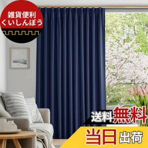 �y���������zDeconovo �Ռ��J�[�e�� �h���[�v�J�[�e�� ���n ��150cm��178cm ���F 1���� 1���Ռ� ������� �d�؂� ���L�� �`��L�����H UV�J�b�g �f�M �h�� �ߓd�΍� ����ډB��