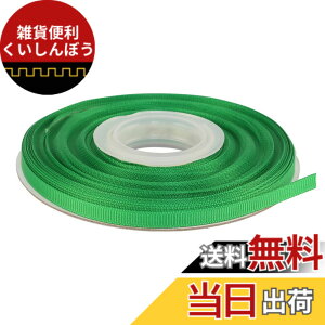 �y���������z�yIDECORRIBBONS�z�|���G�X�e���O���O�������{�� # 580�G�������h�O���[��
