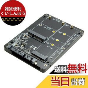 �y���������zCableCC 2�C��1�R���{ M.2 NGFF B�L�[ & mSATA SSD to SATA 3.0 �A�_�v�^�[�R���o�[�^�[�P�[�X�G���N���[�W��
