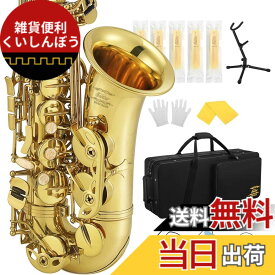 【送料無料】Eastar アルトサックス E Saxophone ゴールドラッカー サクソフォン ケース付き お手入れセット クリスマス(演奏用) AS-3