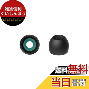 �y���������zJVC�P���E�b�h JVC EP-FX10MS-B �����p�C���[�s�[�X �X�p�C�����h�b�g++ 4���� MS�T�C�Y �u���b�N