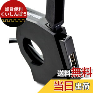 �y���������z�f�C�g�i(Daytona) �o�C�N�p USB�d�� USB-A 12W iPhone/Android�Ή� �u���[�L�X�C�b�`�ڑ� ���C���L�[�A�� ��t��13.5mm �X�����_�[USB 1�|�[�g 98437