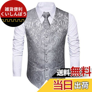 �y���������z[HISDERN] �V���o�[ ������ �����Y �t�H�[�}���x�X�g �r�W�l�X �X�[�c �x�X�g �X���� V�l�b�N �傫���T�C�Y �j�� �畞 L V3-01