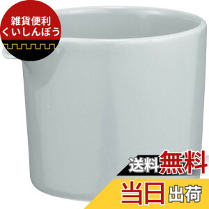 �y���������z���C����(Saikaitoki) �g������ Common �R���� �~���N�s�b�`���[ �O���[ �e�ʖ�100ml �d�q�����W �H���Ή� 18300