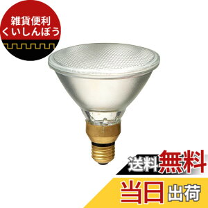 �y���������zELPA �����d�� �n���Q���r�[�������v�U��90W EBRF110V90W