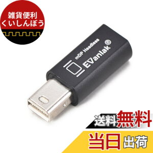 �y���������zEVanlak Mini DisplayPort �w�b�h���X�S�[�X�g�f�B�X�v���C�G�~�����[�^�[ PC 4K DP �_�~�[�v���O�p (�w�b�h���X1080-3840x2160@17hz�Ή�)