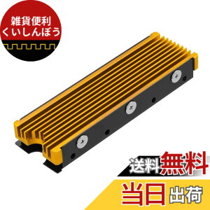�y���������zM.2 2280mm SSD���ʃq�[�g�V���N�APC / PS5�p�T�[�}���V���R���p�b�h�t��M.2 PCIE NVMe SSD(�S�[���h)