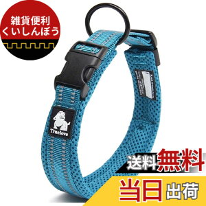 �y���������zcocomall���{�����X ����� ���̎�� �P���p ���^�A���^�A��^���p �y�b�g�p�i 3M���ˍޗ� �i�C������ �ʋC�� �e�͐� �\�t�g���b�V�� �ȒP���� ������� ���߉\(XL, ���C�����u��