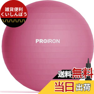 �y���������zPROIRON �o�����X�{�[�� 65cm ���b�h �n���h�|���v�t�� �^���s���̉���