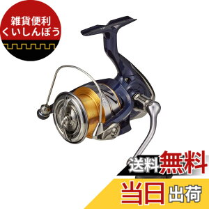 �y���������z�_�C��(DAIWA) �X�s�j���O���[�� 20 �N���X�g LT4000-CXH(2020���f��)
