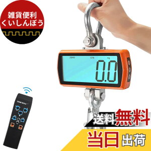 �y���������zCGOLDENWALL �N���[���X�P�[�� LCD�t���\�� 1000kg0.5kg ���y�ʂőϋv������ ���܈��� �z�[���h�@�\ �݂�͂��� �d�q�݂�X�P�[�� ���z�H�� ���Y�� �׍~�낵 �H�� ���{��������t��
