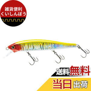 �y���������zDUEL(�f���G��) HARDCORE(�n�[�h�R�A) ���A�[ �~�m�[ �T�X�y���h HARDCORE MINNOW flat 130SP 130mm R1381-HCR �N���E�� �o�X�ނ�