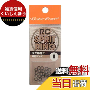 �y���������z���f�I�N���t�g(Rodiocraft) RC �X�v���b�g�����O #0