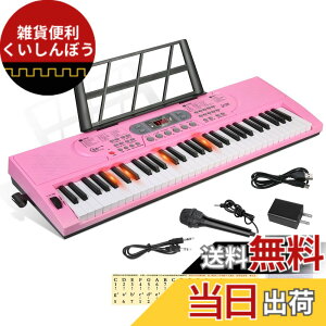 �y���������zHricane �L�[�{�[�h �s�A�m �d�q�s�A�m 61���� 200��މ��F 200��ރ��Y�� 60�ȃf���� LCD�f�B�X�v���C���� ���錮�� �y�� ���{��p�l�� �w�b�h�t�H���Ή� �q�� ���S�� ���K�p USB�P�[