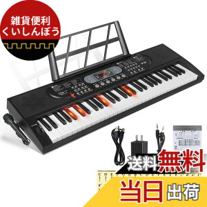 �y���������zHricane �L�[�{�[�h �s�A�m �d�q�s�A�m 61���� 200��މ��F 200��ރ��Y�� 60�ȃf���� LCD�f�B�X�v���C���� ���錮�� �y�� ���{��p�l�� �w�b�h�t�H���Ή� �q�� ���S�� ���K�p USB�P�[