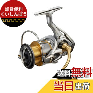 �y���������z�_�C��(DAIWA) �X�s�j���O 21 �t���[���X LT4000-CXH