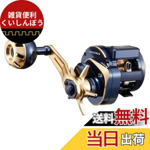 �y���������z�_�C��(DAIWA) 21 �\���e�B�KIC 100