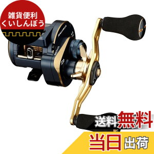 �y���������z�_�C��(DAIWA) 21 �\���e�B�KIC 100PL-DH