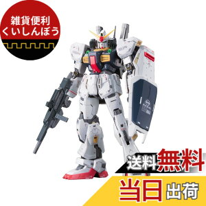 �y���������zRG �@����m���K���_�� RX-178 �K���_��Mk-II �G�D�[�S�d�l 1/144�X�P�[�� �F�����ς݃v�����f��